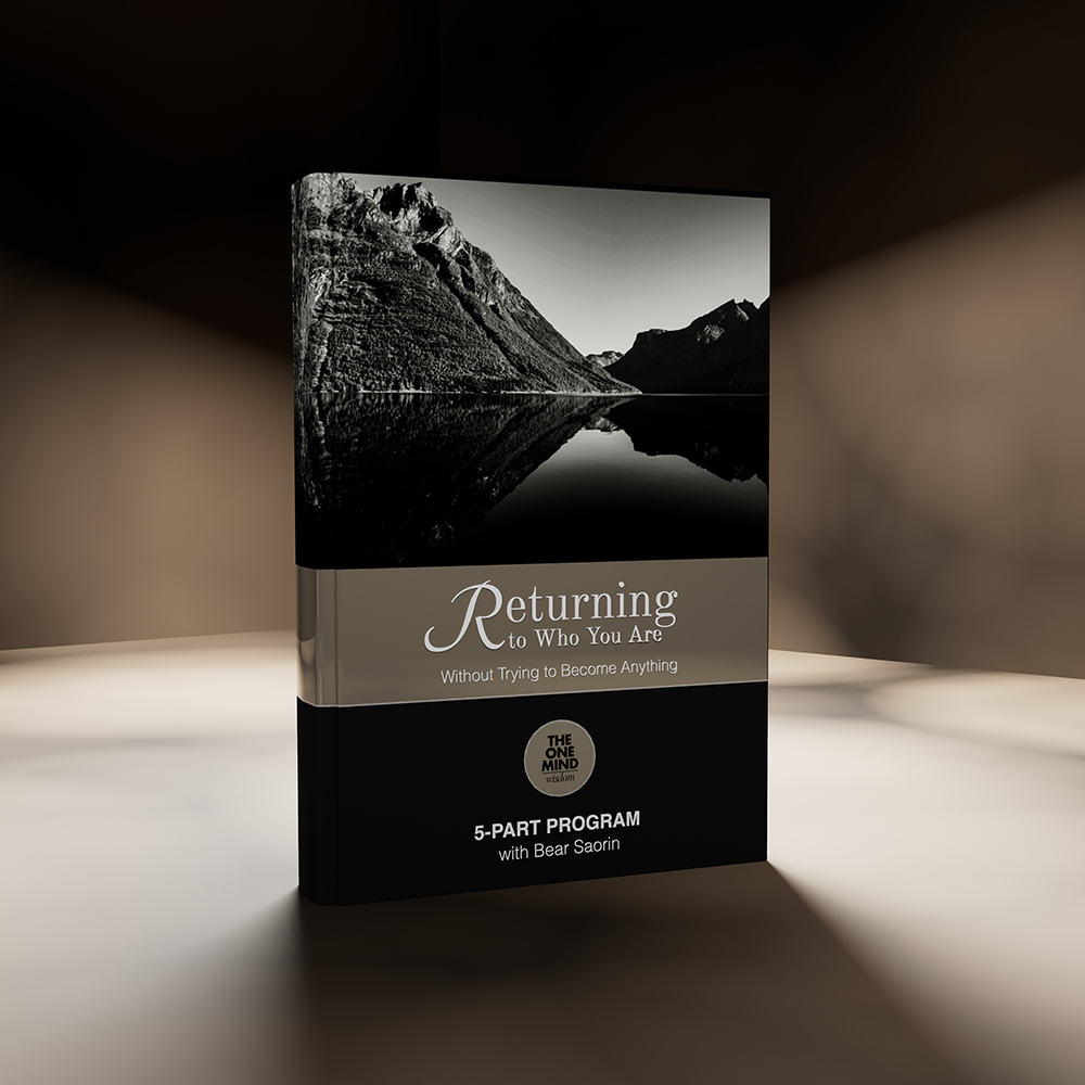 <?php the_title();?>