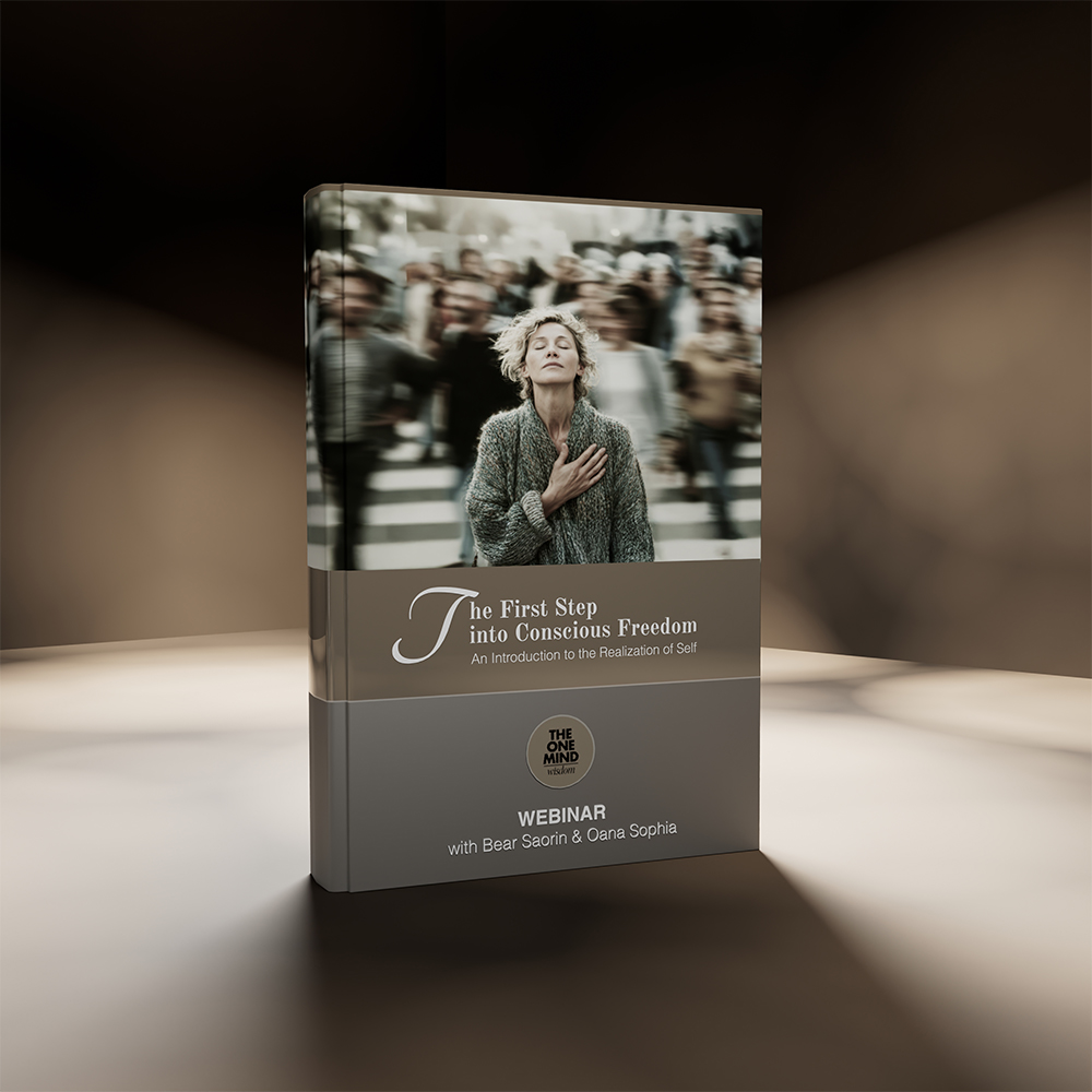 <?php the_title();?>